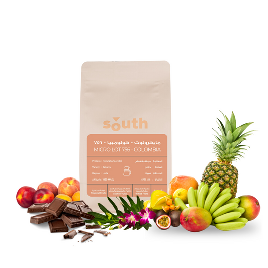 south | مايكرولوت 756