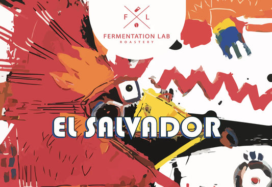 fermentationlab | EL SALVADOR - Espresso