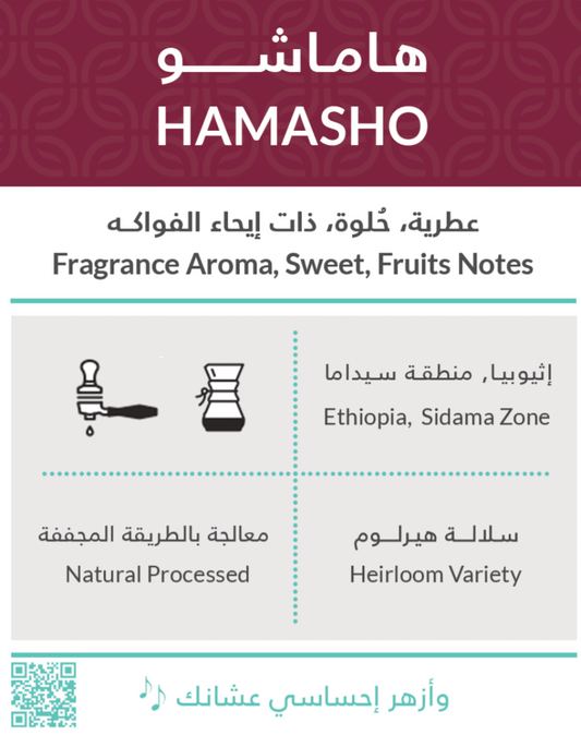 هاماشـــو - كفة